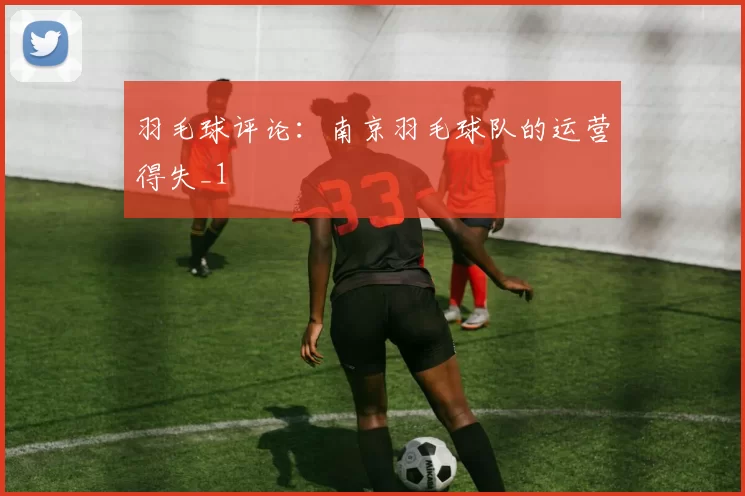 羽毛球评论：南京羽毛球队的运营得失_1