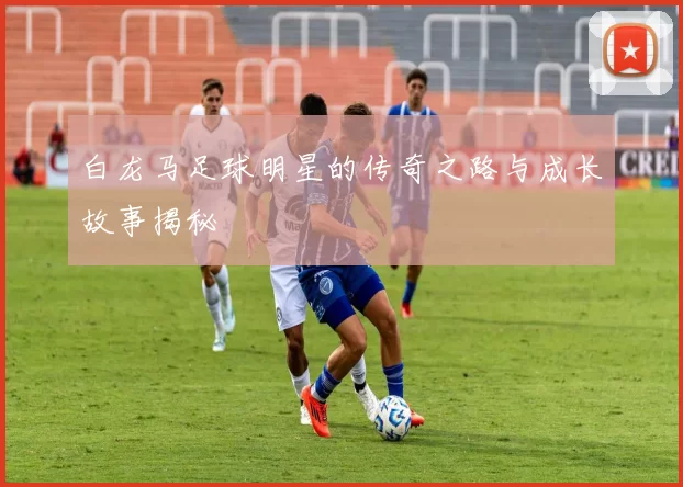 白龙马足球明星的传奇之路与成长故事揭秘