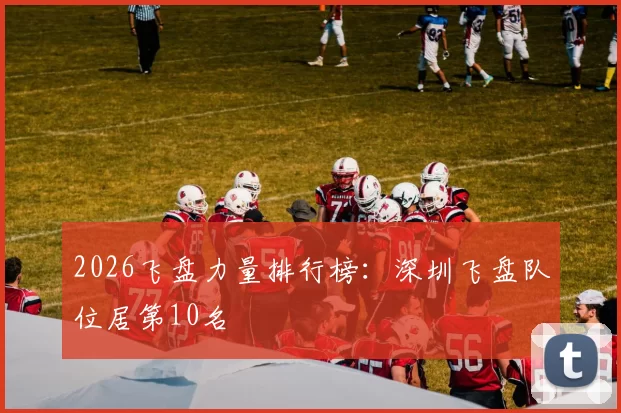 2026飞盘力量排行榜：深圳飞盘队位居第10名
